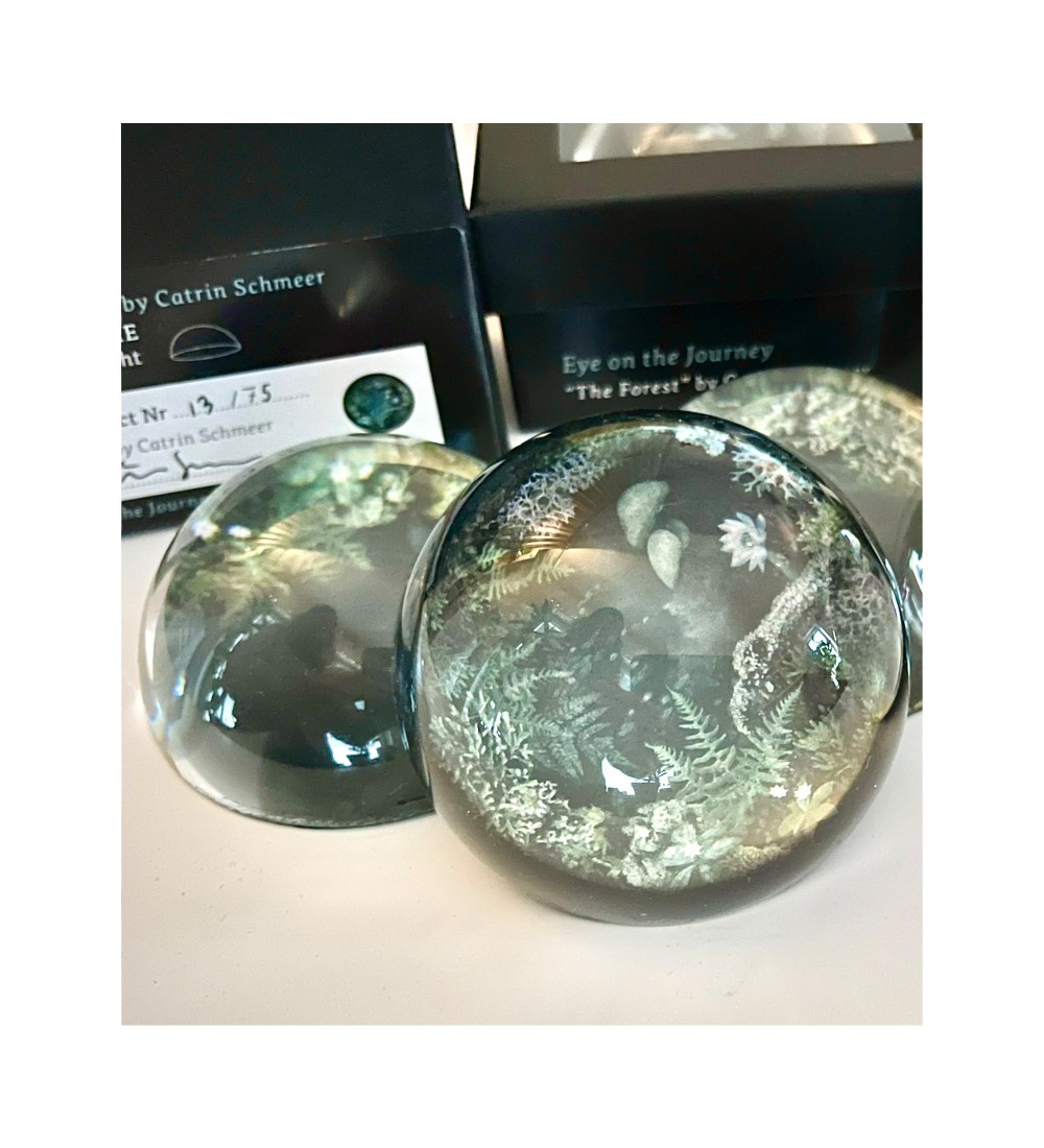 Glass Dome - The Forest