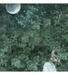 Foxes from Folklore tales 