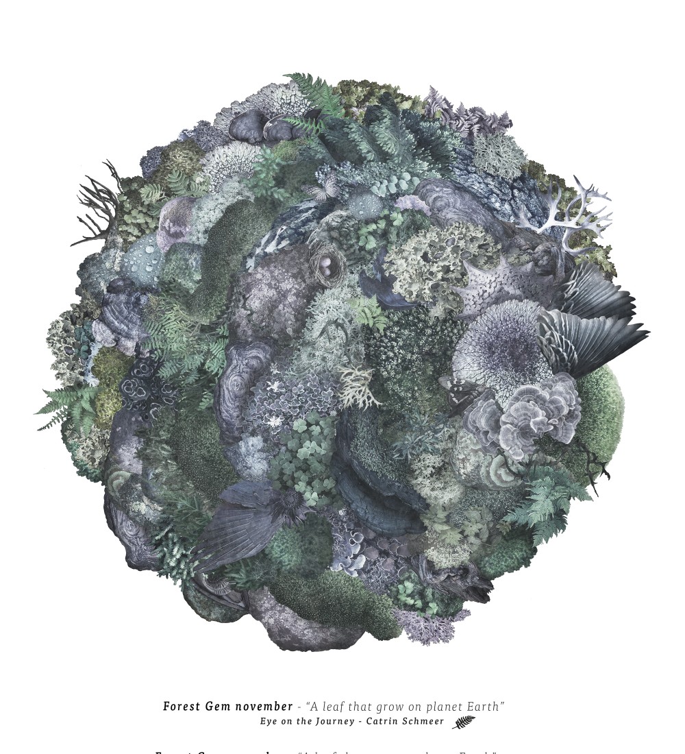 Forest gem - November