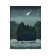 Foxes and summer comet