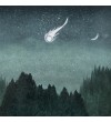 Foxes and summer comet