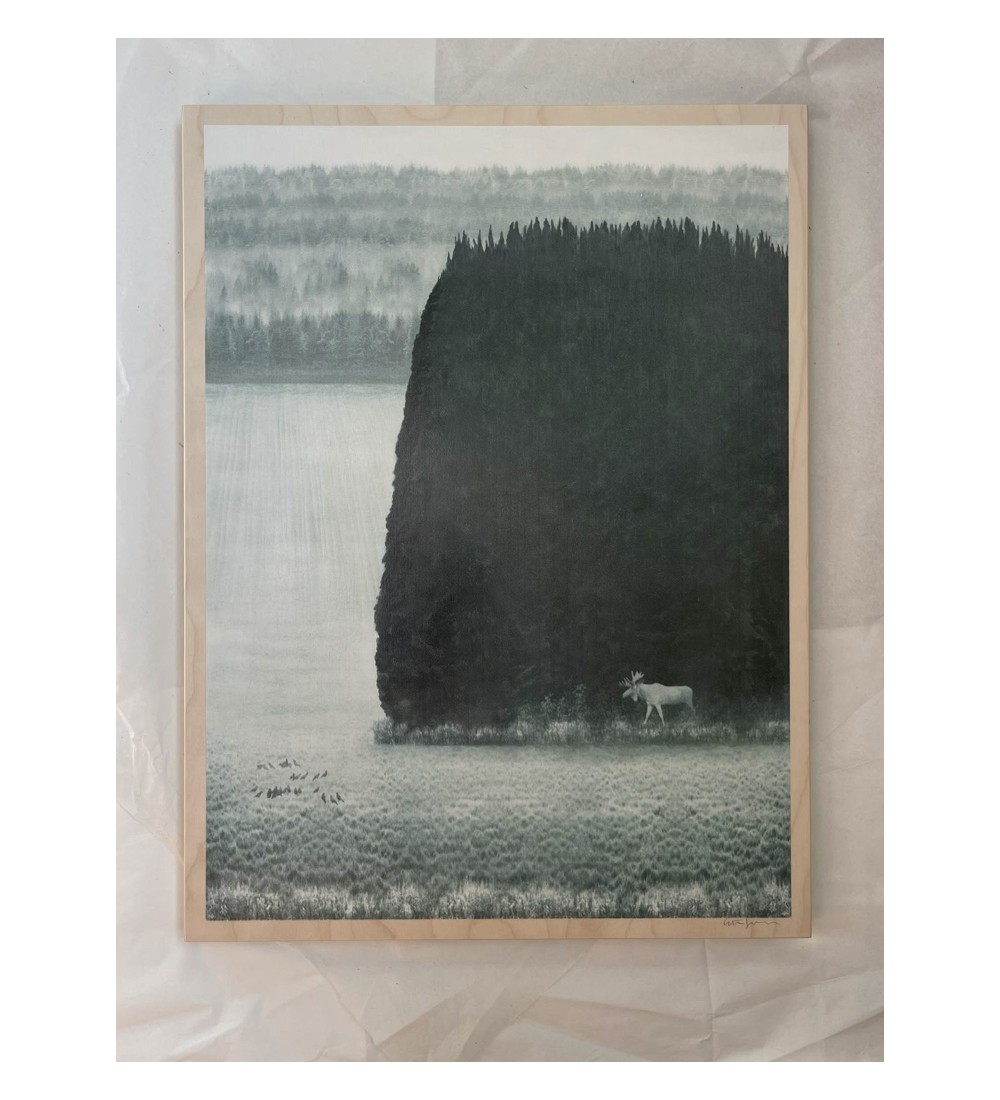 Print on wood - The white King